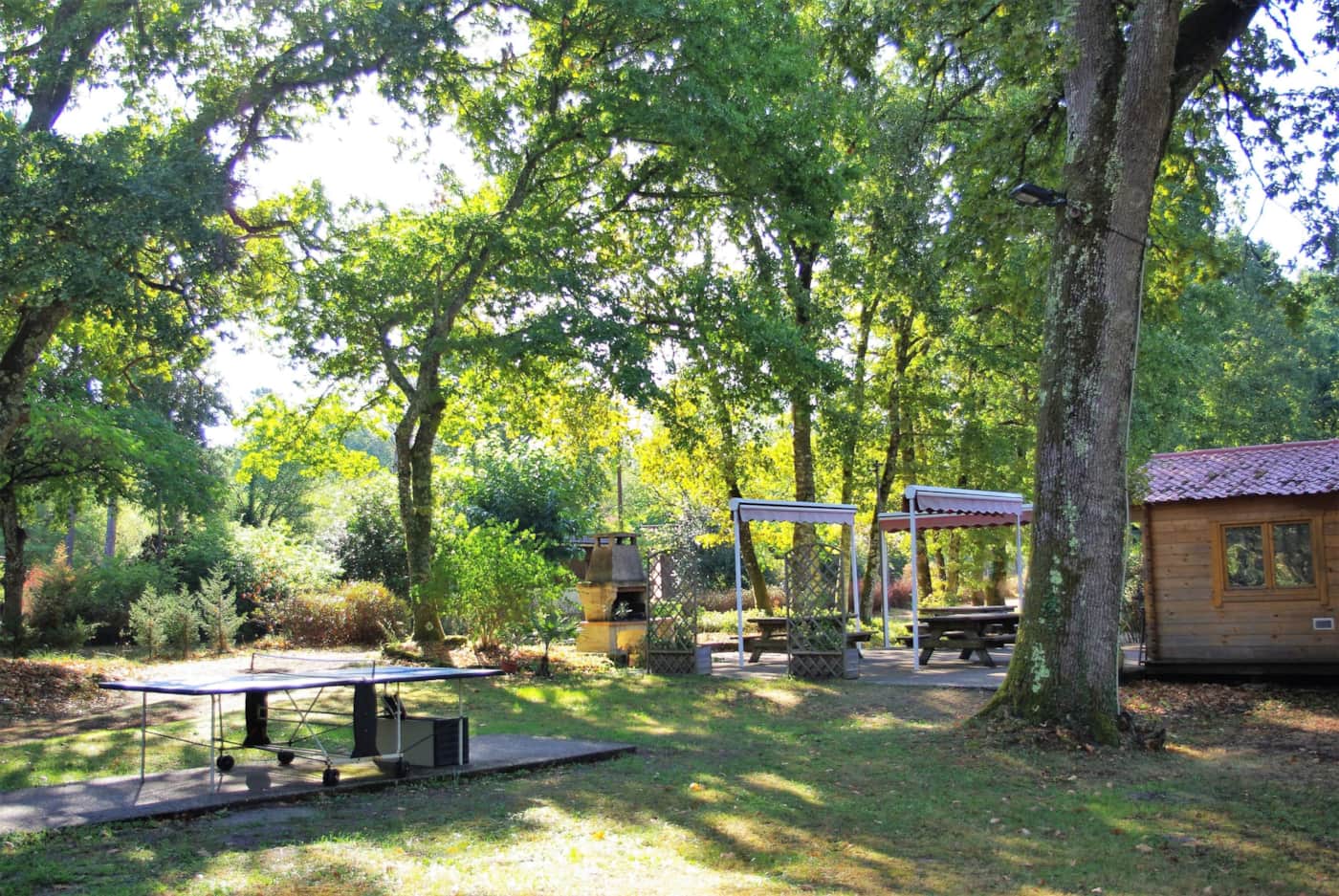 Espace barbecue et chalet dans le parc